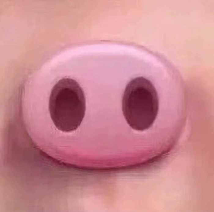各有仪则
