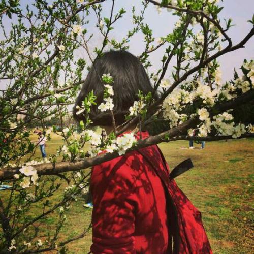 古子君子