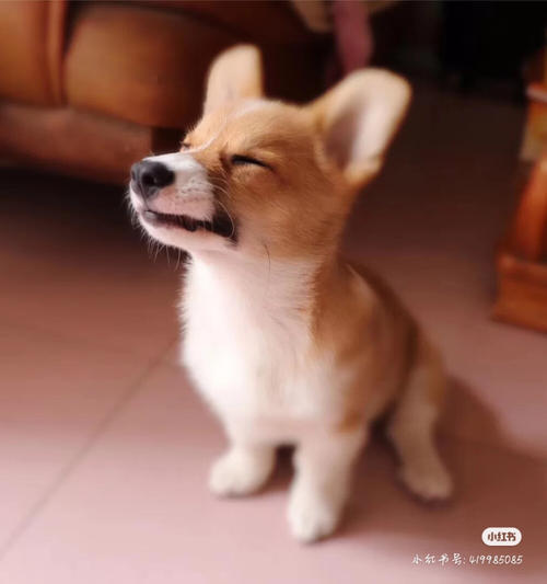 合于天伦