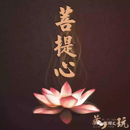 鸡之与鸡