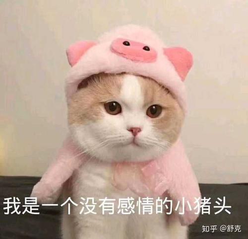 俱诵墨经