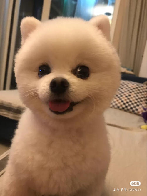 人与之名