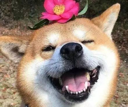 表演者