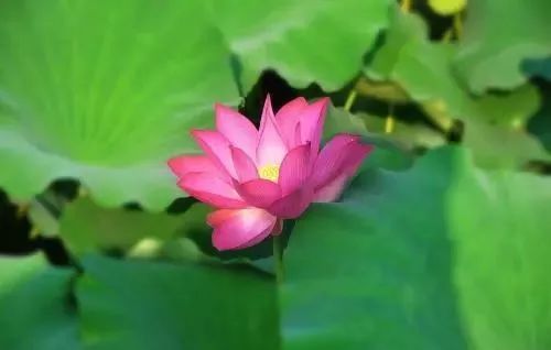 迢迢银河