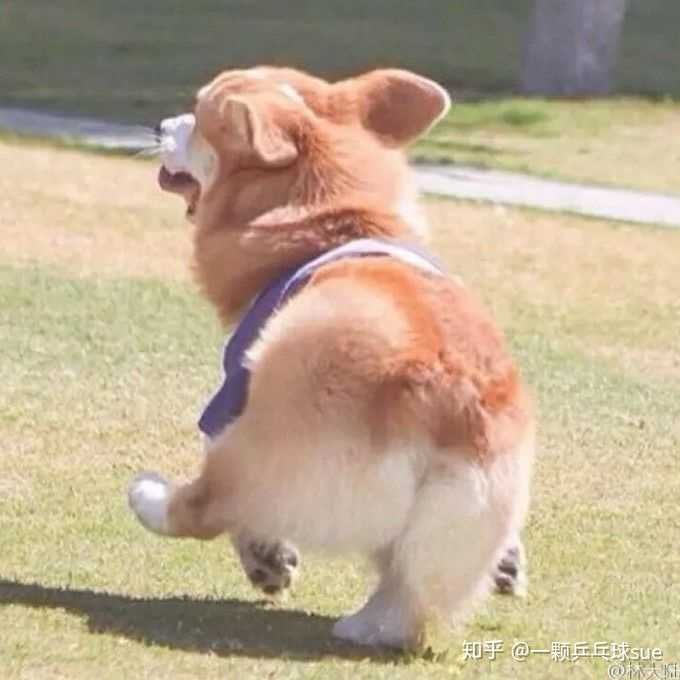 所常无穷