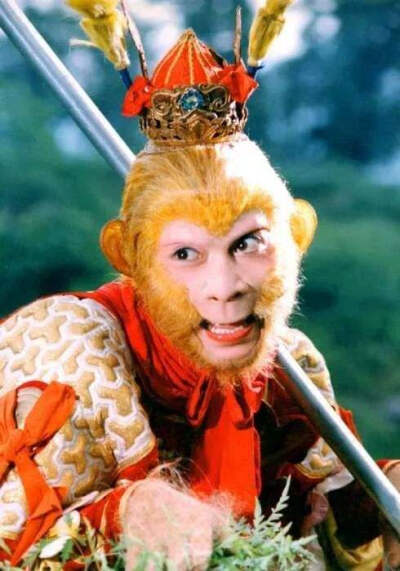 抢钱家族