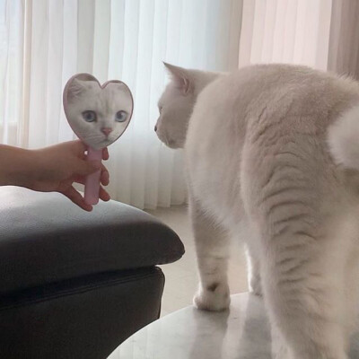 罪恶王冠