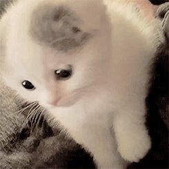 不对称