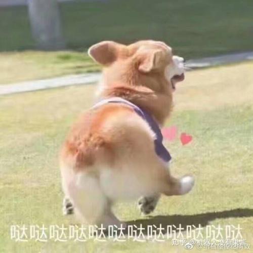 妖皇传说