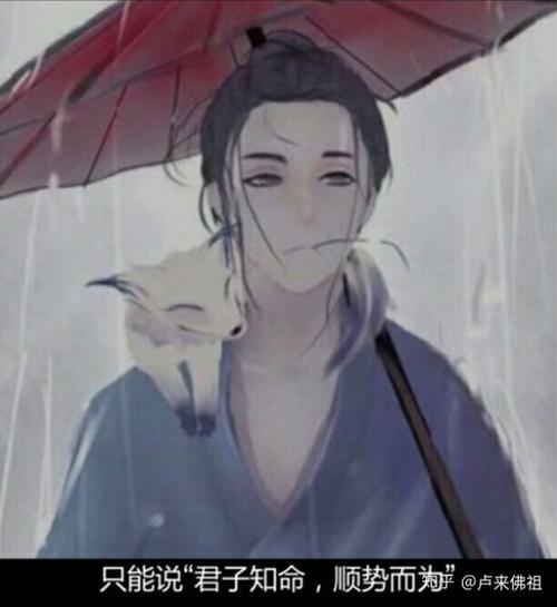 奇犬良缘