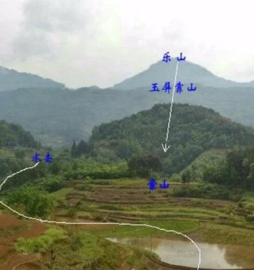 人狗情缘