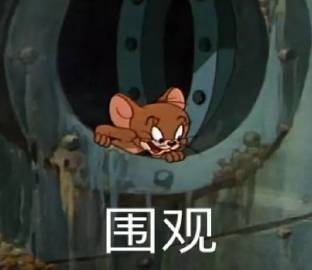 翡翠狐狸