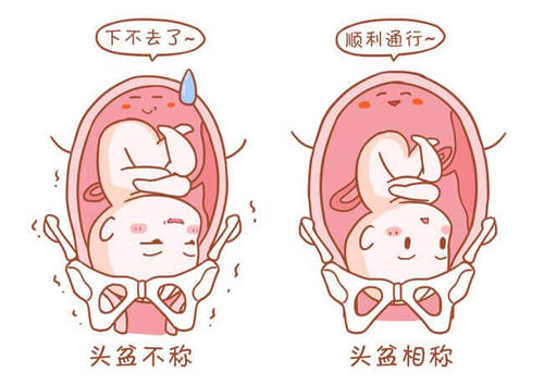 善小微尘