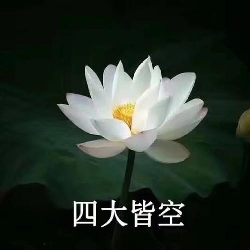 冷心铁兵