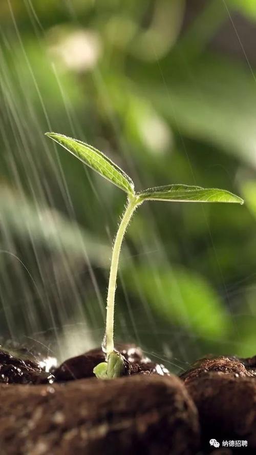 滚滚雷霆