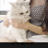 南宫敏熙