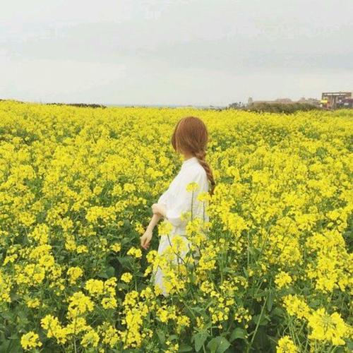 长濑美华