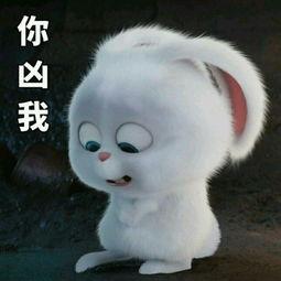 超高频