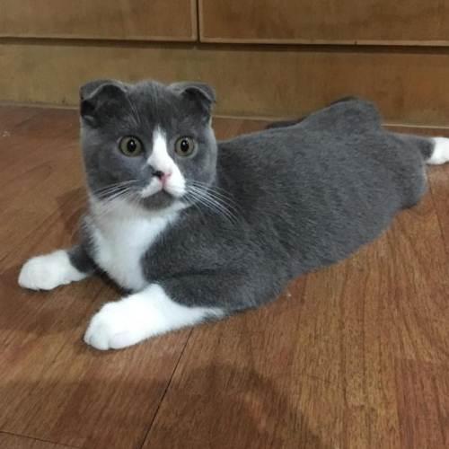 疲惫不堪