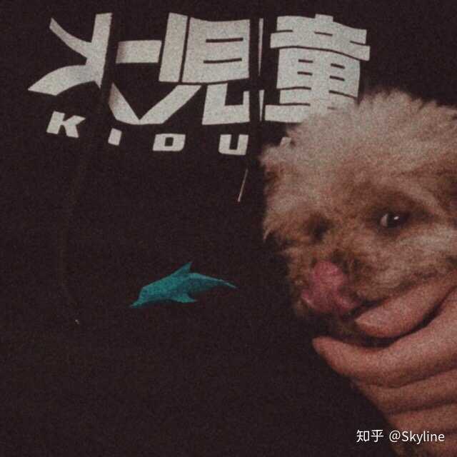 西冈奈奈
