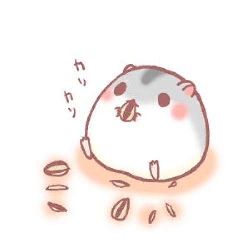 玫瑰情人
