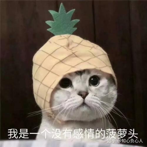 罪案现场