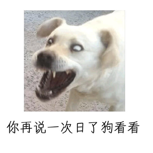 三洞琼纲