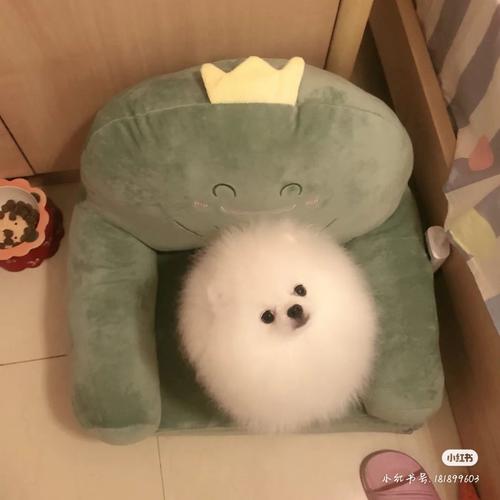 正昼为盗