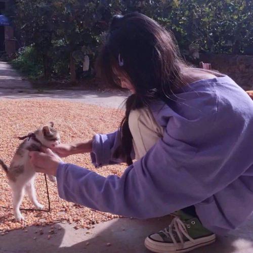 我的星座