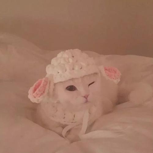 第三波