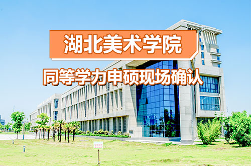 关于湖北美术学院继续教育与培训学院同等学力申硕现场确认的通知