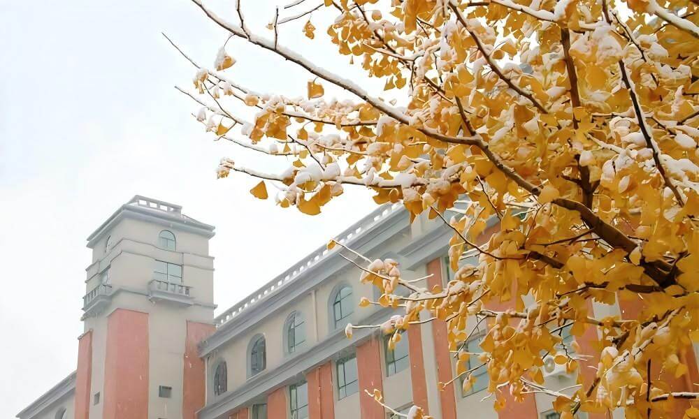 渤海大学