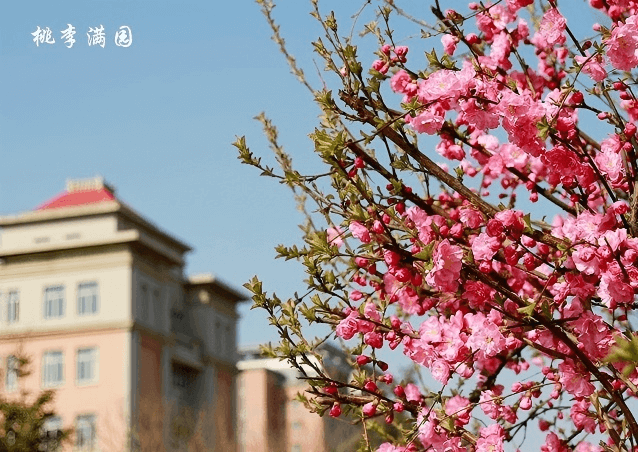 渤海大学