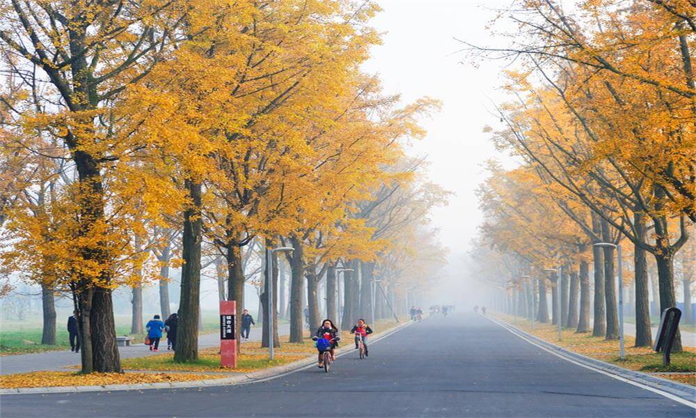 电子科技大学