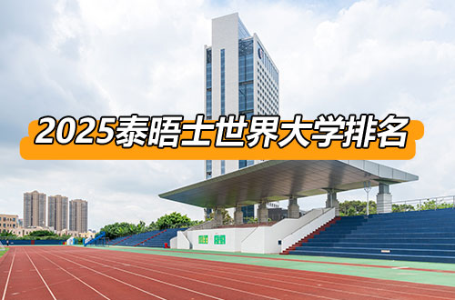 2025年泰晤士世界大学排名（前100）