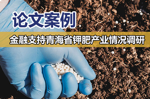 论文案例：金融支持青海省钾肥产业发展情况调研