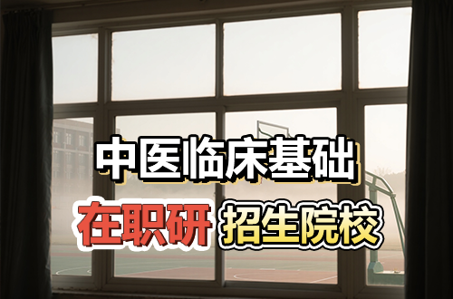 全国中医临床基础在职研究生招生院校2026年汇总