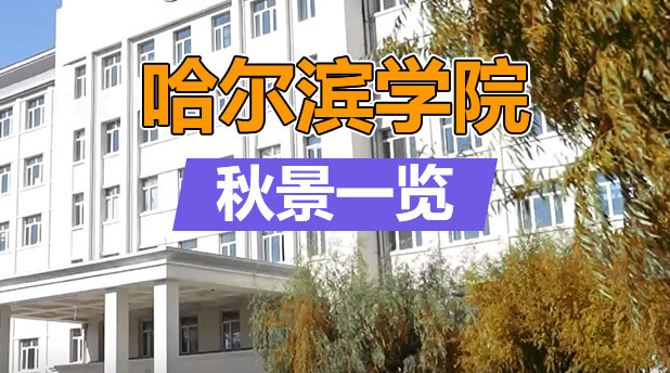 哈尔滨学院秋景一览