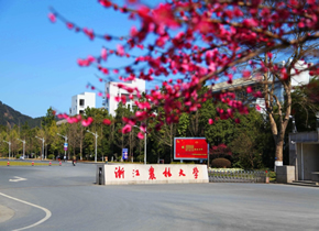 浙江农林大学：2026年招生专业有三项调整