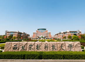 西北农林科技大学：19门考试科目变更，3个专业需注意填报说明