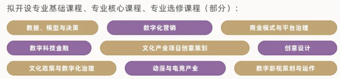 2026年南京大学商学院工商管理硕士(数字文化产业方向)非全日制研究生课程设置