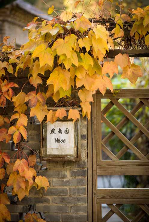 燕南草木长，四季行匆匆