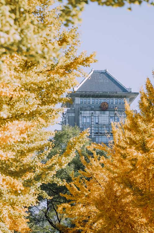 春花秋叶看不尽，夏风冬雪更喜人