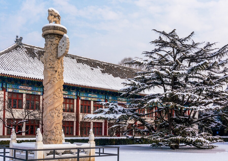 北京大学：六出飞花散入园　几丛碧树变琼枝