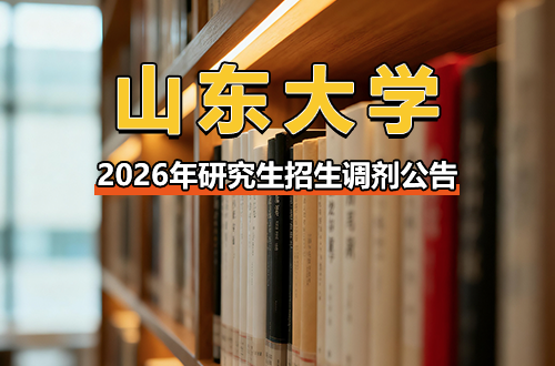山东大学2026年硕士研究生招生调剂公告