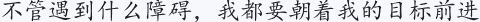 不管遇到什么障碍，我都要朝着我的目标前进